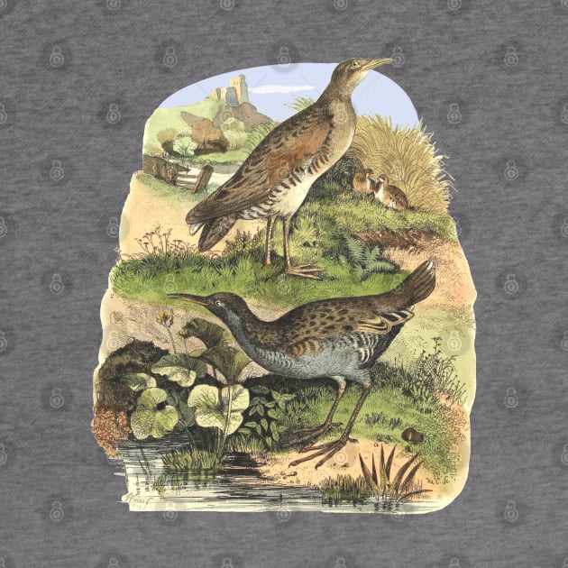 Birds on the landscape background by Biophilia